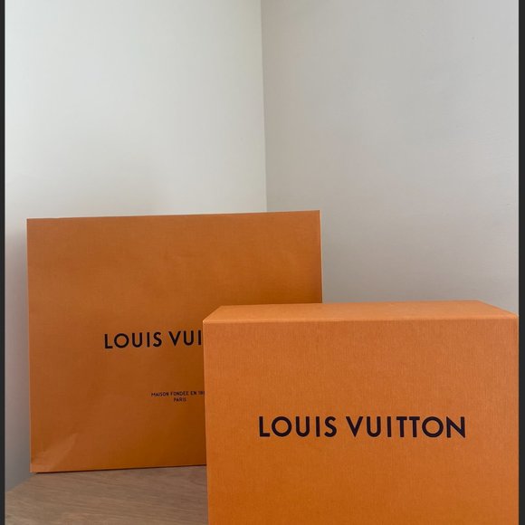 Louis Vuitton White Monogram Mesh And Leather Stellar Lace Up Sneakers - Picture 5 of 16